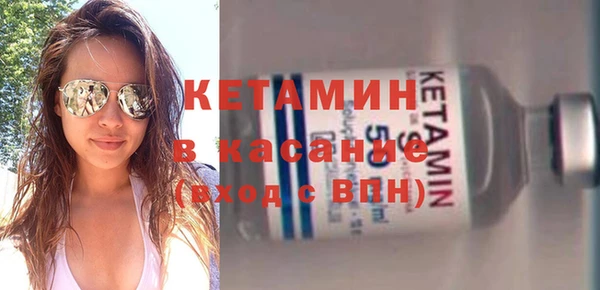 шишки Арсеньев