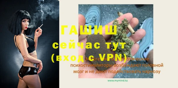 шишки Арсеньев