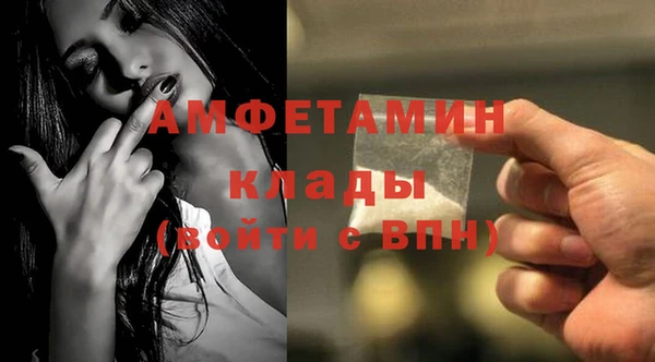 шишки Арсеньев