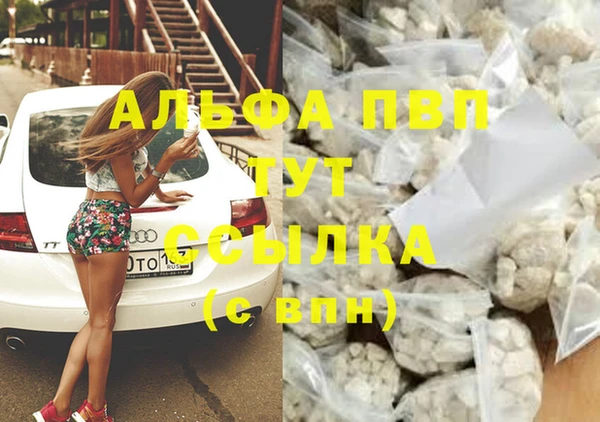 прущие крисы Баксан