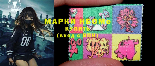 шишки Арсеньев