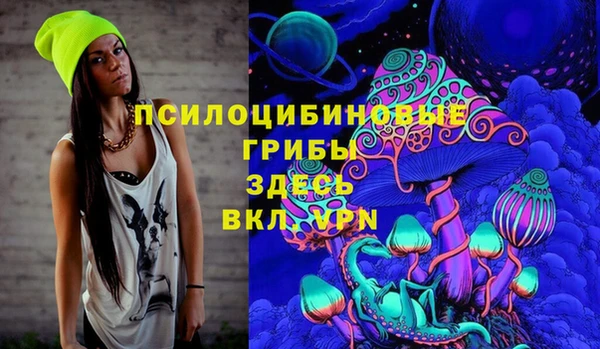 твердый Балахна