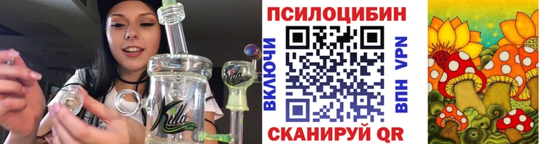 закладка  ссылка на мегу ТОР  Галлюциногенные грибы Psilocybe  Октябрьск 